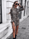 Leopard Print Mini Dress